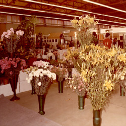 DETROP Περίπτερα 1981:Φωτογραφία 21