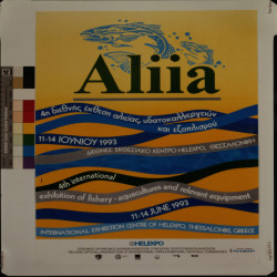 ALIIA 1993