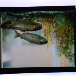 Εκθέματα 1991-1992