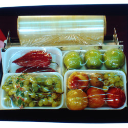 Εκθέματα 1991-1992