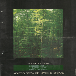 Ελληνικά Δάση Αφίσα_2936