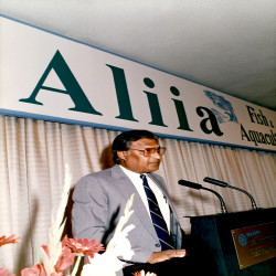 FISH ALLIA 1988 Stand-Εγκαίνια-Συνέδριο-Συνέντευξη:Φωτογραφία 12