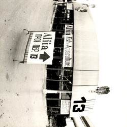 FISH ALLIA 1988 Stand-Εγκαίνια-Συνέδριο-Συνέντευξη:Φωτογραφία 5