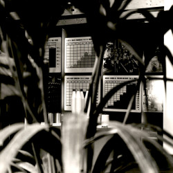 TEXTILIA 1979:Φωτογραφία 38