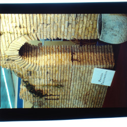 Εκθέματα 1991-1992