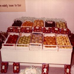 DETROP Περίπτερα 1981:Φωτογραφία 24