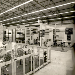 FURNIDEC 1979 (Περίπτερα):Φωτογραφία 5