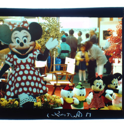 Εκθέματα 1991-1992